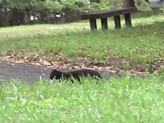 ZEPE87_02 Hot Asian Babe Gets Rough Love In Her Tight Spot