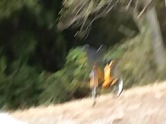 SCWA217SD Sizzling Naked Bodies Tempt in Explicit Erotic Visual Showdown