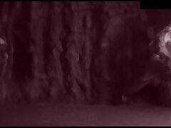 ZCGD07 Hot Japanese Babe Enjoying Intense Bedroom Action For Fun