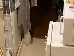 15378102 Sizzling Asian Goddess Ignites Passion in Wild Love Orgy